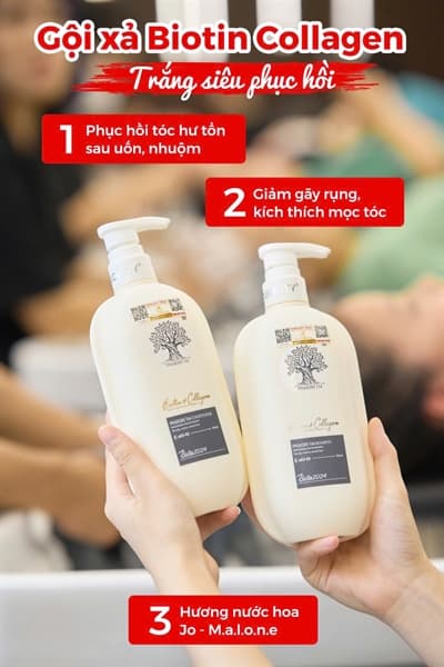 Cặp gội xả biotin 2024 trắng 500ml - Phục hồi